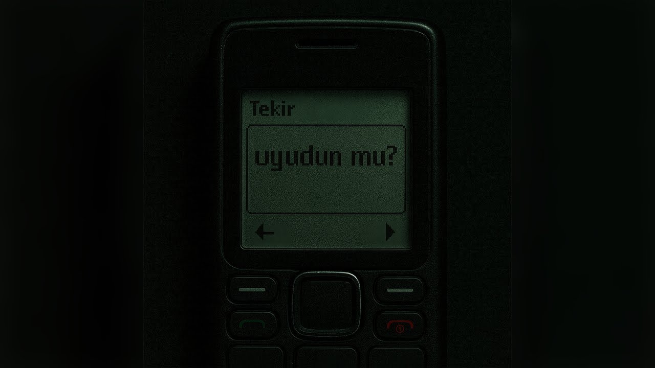 Tekir - Uyudun mu ? (Official Video) Mp3 İndir